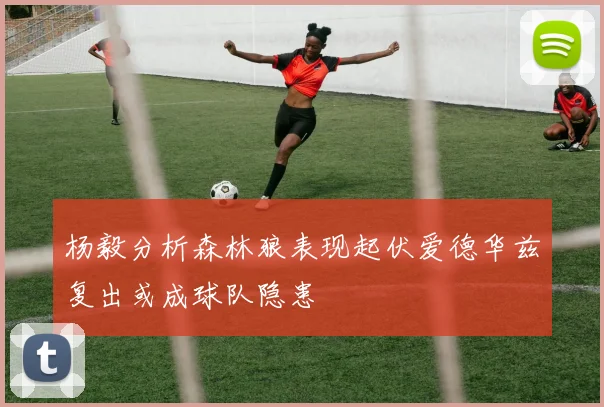 杨毅分析森林狼表现起伏爱德华兹复出或成球队隐患
