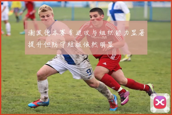 谢泼德本赛季进攻与组织能力显著提升但防守短板依然明显