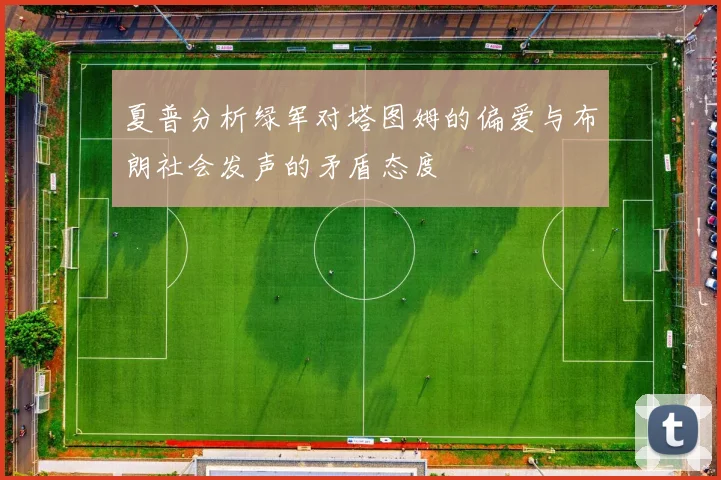 夏普分析绿军对塔图姆的偏爱与布朗社会发声的矛盾态度